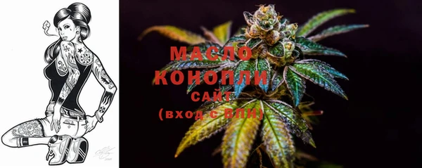 крисы Вязьма