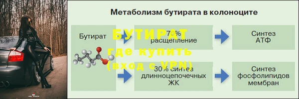 крисы Вязьма