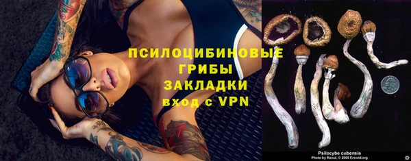 мяу мяу мука Снежинск