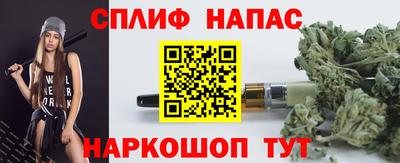 шишки Пугачёв
