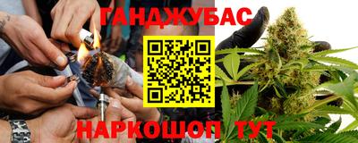 шишки Пугачёв