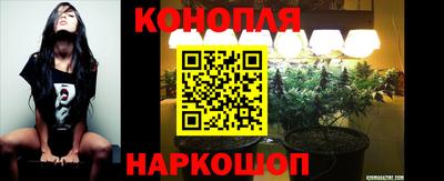 spice Пушкино