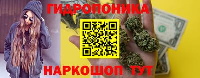 шишки Пугачёв