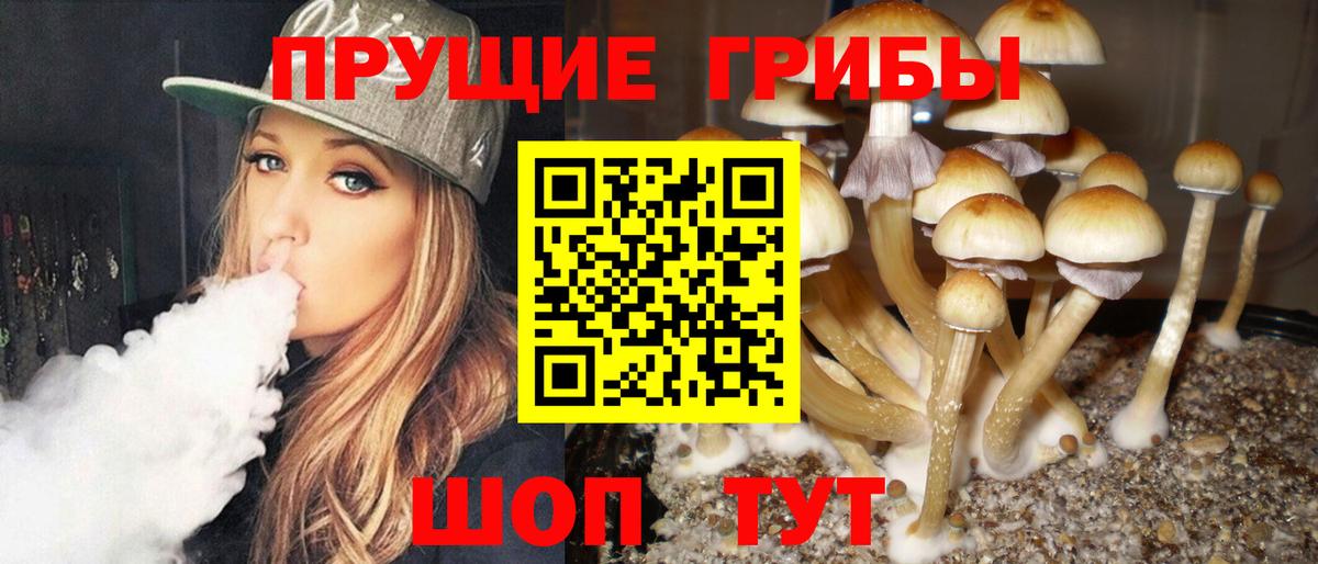 Чебоксары  Псилоцибиновые грибы ЛСД  Вход с VPN 