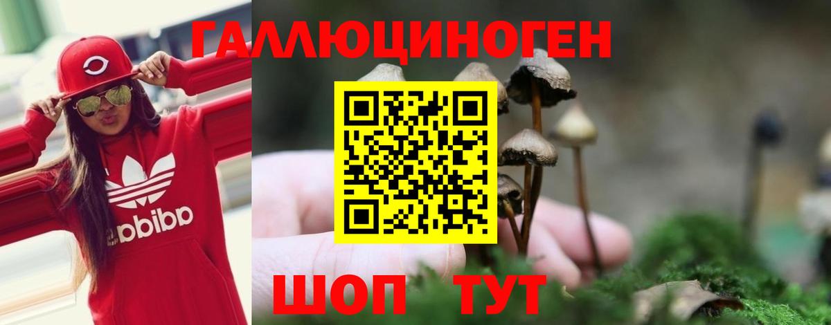 Псилоцибиновые грибы мухоморы Чебоксары